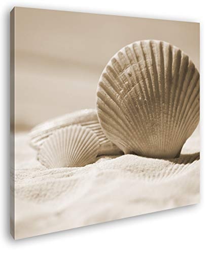 deyoli Klassische Muscheln im Sand Format: 70x70 Effekt: Sepia als Leinwandbild, Motiv fertig gerahmt auf Echtholzrahmen, Hochwertiger Digitaldruck mit Rahmen, Kein Poster oder Plakat