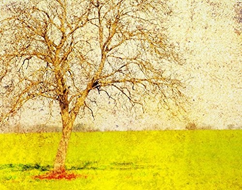 Leinwandbild Daybreak 16-teilig Wiese Baum Natur Landschaft Moderne Kunst, Leinwand, Leinwandbild XXL, Leinwanddruck, Wandbild