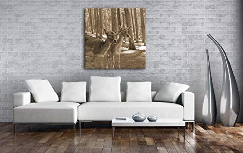 deyoli Zwei Junge Rehkitz im Wald Format: 40x40 Effekt: Sepia als Leinwandbild, Motiv auf Echtholzrahmen, Hochwertiger Digitaldruck mit Rahmen, Kein Poster oder Plakat