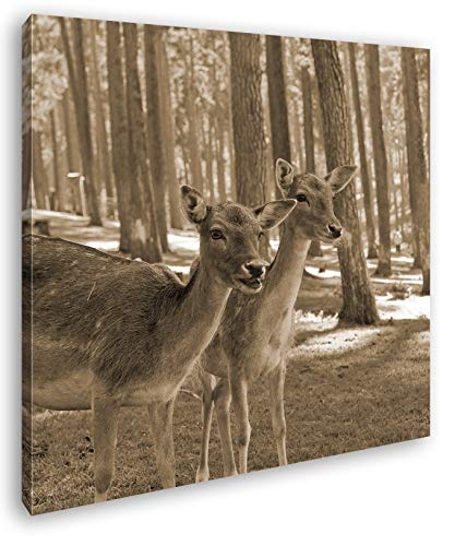 deyoli Zwei Junge Rehkitz im Wald Format: 40x40 Effekt: Sepia als Leinwandbild, Motiv auf Echtholzrahmen, Hochwertiger Digitaldruck mit Rahmen, Kein Poster oder Plakat