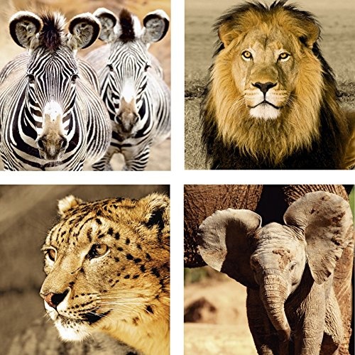 Artland Leinwand-Bild fertig aufgespannt auf Holzfaserplatte mit Motiv Isselèe, Eric prochasson Wilde Zebras, Löwe, Schneeleopard_Sepia, Elefantenbaby Tiere Wildtiere Fotografie Braun C1RD