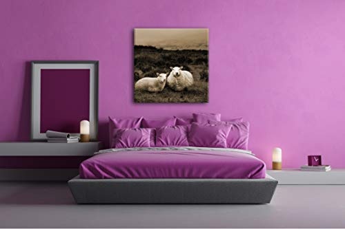 deyoli Zwei niedliches Schafe Format: 60x60 Effekt: Sepia als Leinwandbild, Motiv fertig gerahmt auf Echtholzrahmen, Hochwertiger Digitaldruck mit Rahmen, Kein Poster oder Plakat