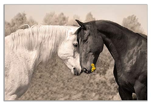 Leinwandbild Sepia Pferd, 30 x 20 cm, Schwarz/Weiß