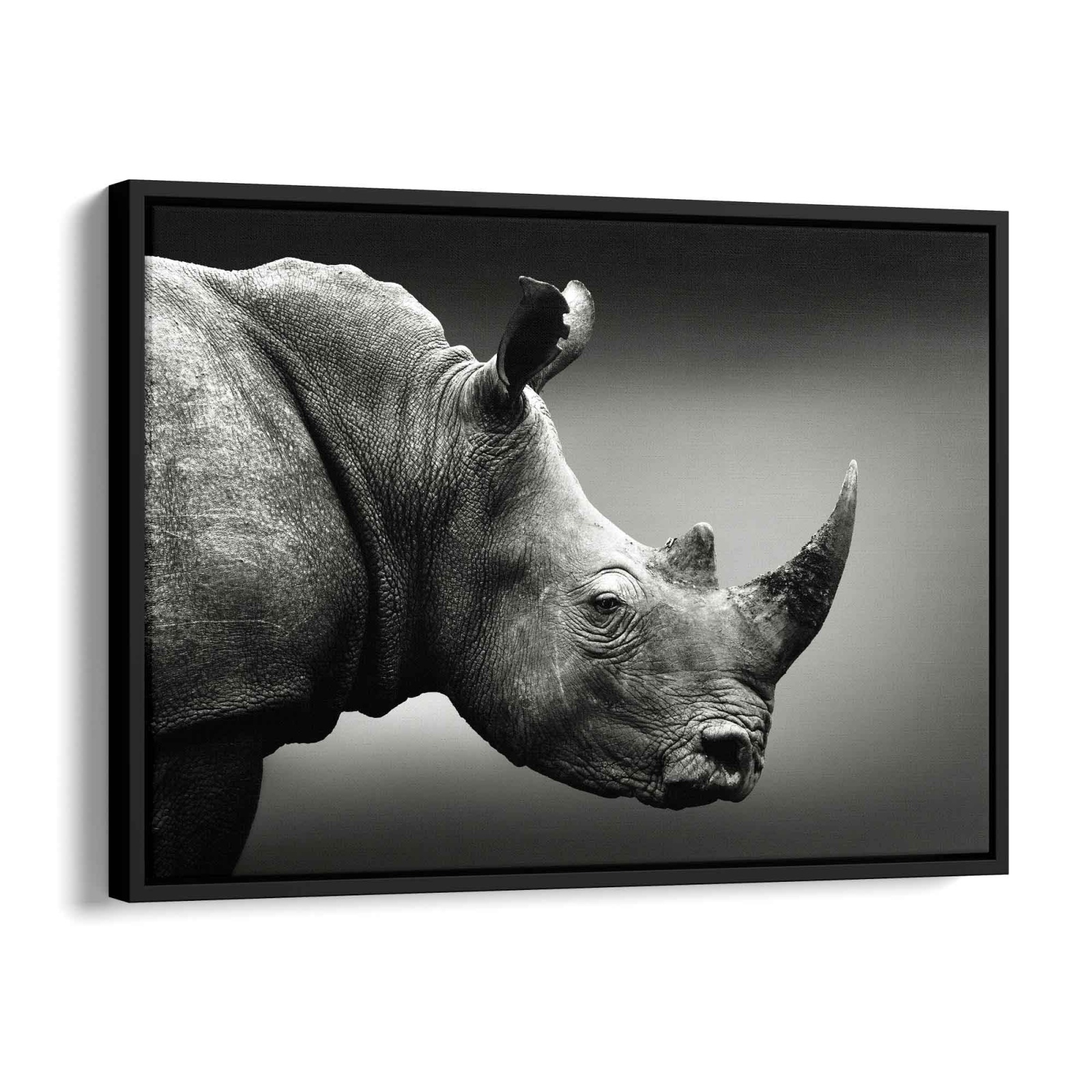 Rhino Portrait Leinwandbild 120x80cm - ArtMind