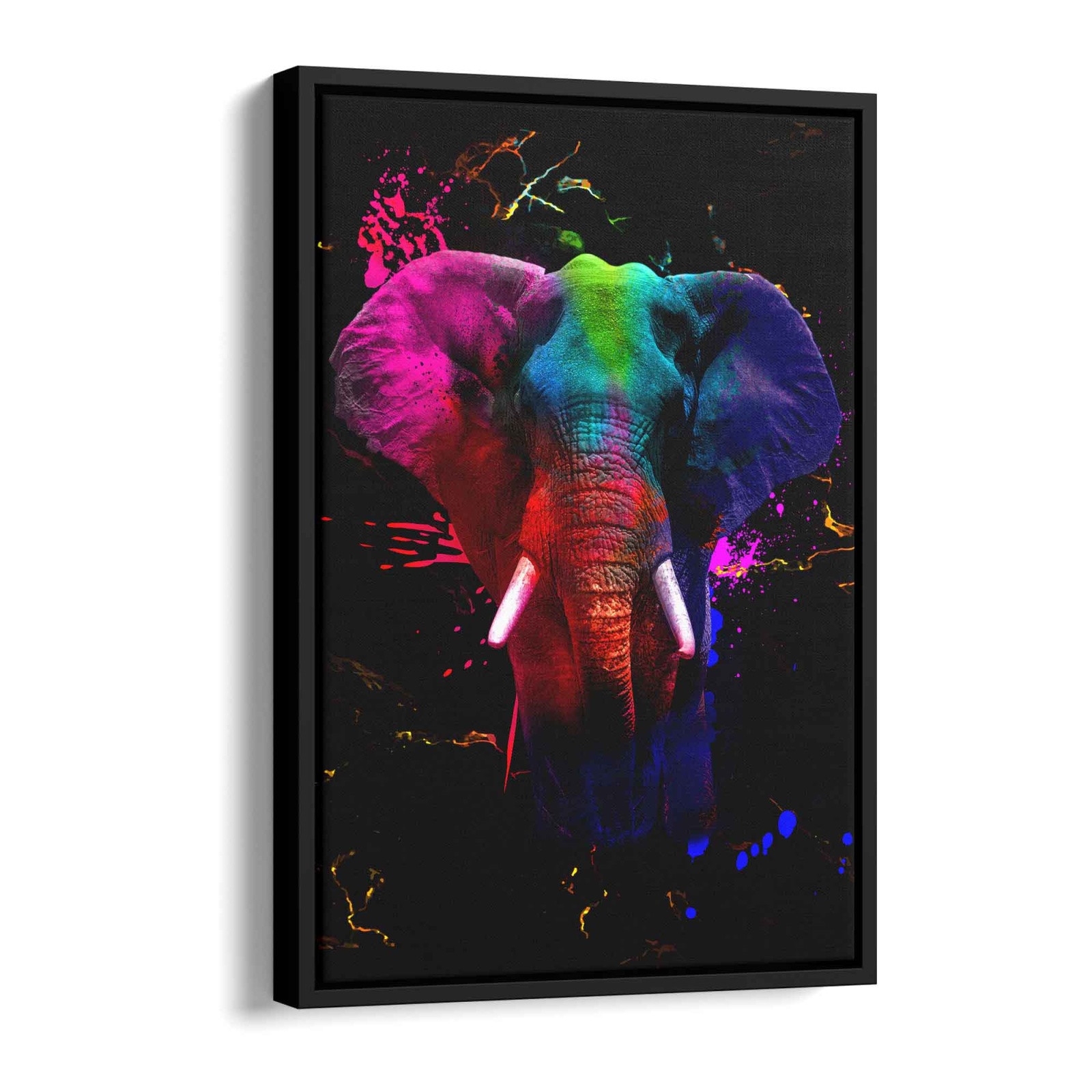 Elefant - Colorful Alu Weiß 80x60cm - ArtMind