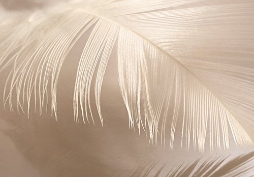 murando - Bilder 135x45 cm Vlies Leinwandbild 1 TLG Kunstdruck modern Wandbilder XXL Wanddekoration Design Wand Bild - Abstrakt Feder Wassertropfen Digital b-C-0160-b-a
