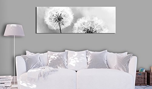 murando - Bilder Pusteblume 150x50 cm Vlies Leinwandbild 1 TLG Kunstdruck modern Wandbilder XXL Wanddekoration Design Wand Bild - Blumen Natur grau Pusteblumen b-B-0223-b-b