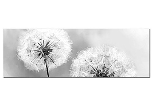 murando - Bilder Pusteblume 150x50 cm Vlies Leinwandbild 1 TLG Kunstdruck modern Wandbilder XXL Wanddekoration Design Wand Bild - Blumen Natur grau Pusteblumen b-B-0223-b-b