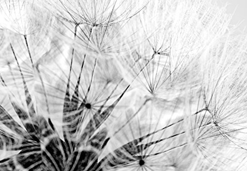 murando - Bilder Pusteblume 150x50 cm Vlies Leinwandbild 1 TLG Kunstdruck modern Wandbilder XXL Wanddekoration Design Wand Bild - Blumen Natur grau Pusteblumen b-B-0223-b-b