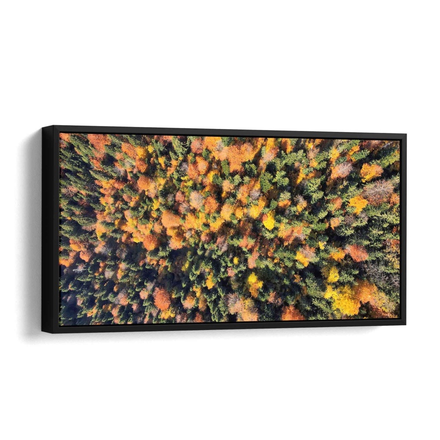colorful nature Alu Gebürstet 120x60cm - ArtMind