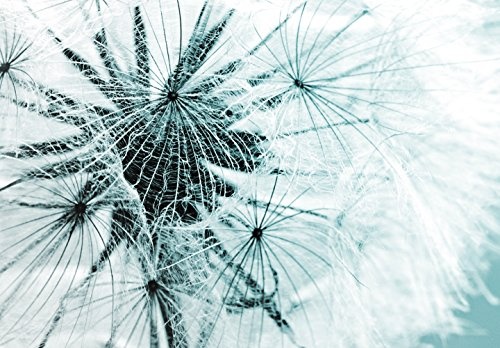 murando - Bilder Pusteblume 150x50 cm Vlies Leinwandbild 1 TLG Kunstdruck modern Wandbilder XXL Wanddekoration Design Wand Bild - Blumen Natur grau blau Pusteblumen b-B-0223-b-d