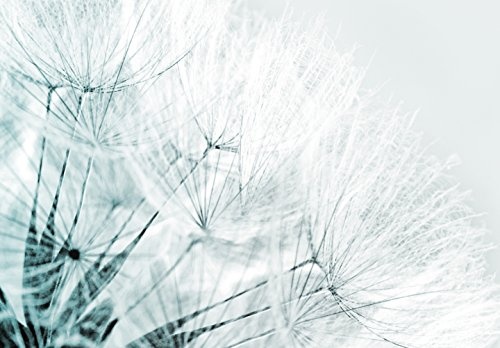 murando - Bilder Pusteblume 150x50 cm Vlies Leinwandbild 1 TLG Kunstdruck modern Wandbilder XXL Wanddekoration Design Wand Bild - Blumen Natur grau blau Pusteblumen b-B-0223-b-d