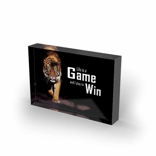 Life is a Game - Play to Win 15x10cmcm - ArtMind