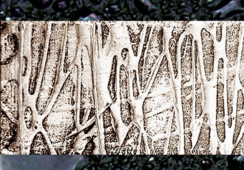 murando - Bilder 200x100 cm Vlies Leinwandbild 5 tlg Kunstdruck modern Wandbilder XXL Wanddekoration Design Wand Bild - Abstrakt 020101-157