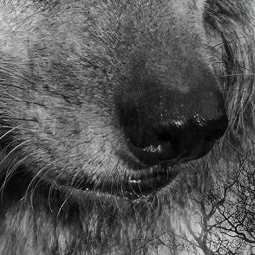 decomonkey Bilder Wolf Wald Berge 200x80 cm 5 Teilig Leinwandbilder XXL Bild auf Leinwand Vlies Wandbild Kunstdruck Wanddeko Wand Wohnzimmer Wanddekoration Deko Tiere Landschaft grau