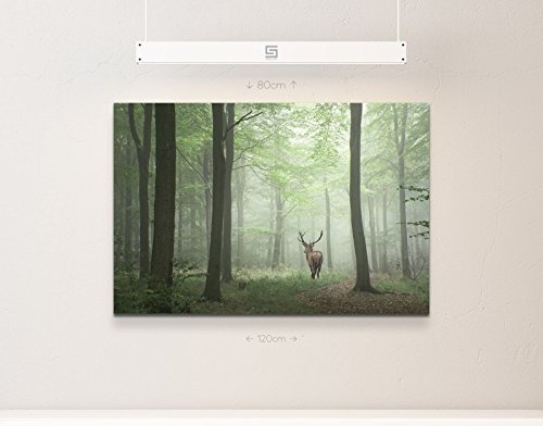 Paul Sinus Art Leinwandbilder | Bilder Leinwand 120x80cm Hirsch im Wald