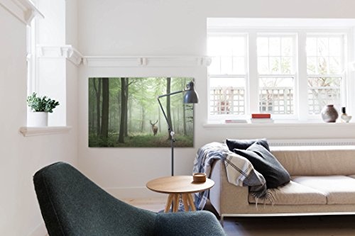 Paul Sinus Art Leinwandbilder | Bilder Leinwand 120x80cm Hirsch im Wald
