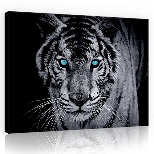 FORWALL Bilder Canvas Tiger O1 (100cm. x 75cm.) Leinwandbilder Wandbild AMFPP10202O1