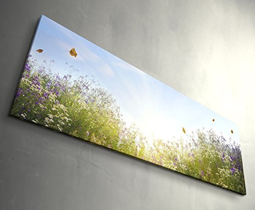 Paul Sinus Art Leinwandbilder | Bilder Leinwand 120x40cm Sommerliche Blumenwiese