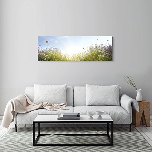 Paul Sinus Art Leinwandbilder | Bilder Leinwand 120x40cm Sommerliche Blumenwiese