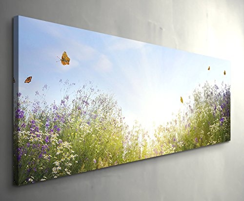 Paul Sinus Art Leinwandbilder | Bilder Leinwand 120x40cm Sommerliche Blumenwiese