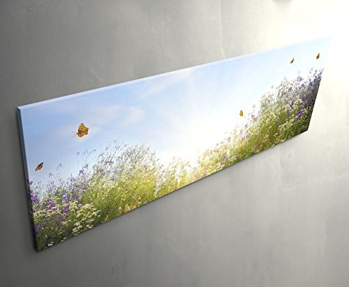 Paul Sinus Art Leinwandbilder | Bilder Leinwand 120x40cm Sommerliche Blumenwiese