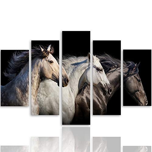 Feeby. Leinwandbild - 5 Teile - Bilder, Wand Bild, Wandbilder, Kunstdruck XXL, 5-Teilig, Typ A, 100x70 cm, Pferde, Tiere, Natur, SCHWARZ, WEIß