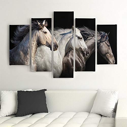 Feeby. Leinwandbild - 5 Teile - Bilder, Wand Bild, Wandbilder, Kunstdruck XXL, 5-Teilig, Typ A, 100x70 cm, Pferde, Tiere, Natur, SCHWARZ, WEIß