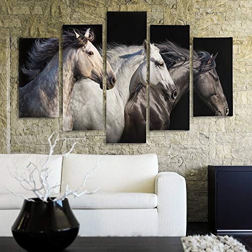 Feeby. Leinwandbild - 5 Teile - Bilder, Wand Bild, Wandbilder, Kunstdruck XXL, 5-Teilig, Typ A, 100x70 cm, Pferde, Tiere, Natur, SCHWARZ, WEIß