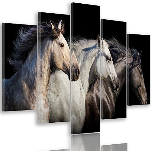 Feeby. Leinwandbild - 5 Teile - Bilder, Wand Bild, Wandbilder, Kunstdruck XXL, 5-Teilig, Typ A, 100x70 cm, Pferde, Tiere, Natur, SCHWARZ, WEIß