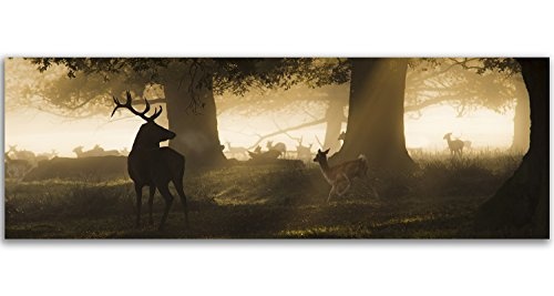 Feeby Frames, Leinwandbild, Bilder, Wand Bild, Wandbilder, Kunstdruck 40x120cm, Wald, BÄUME, Gras, Hirsch, Rehe, Tiere, Natur, BRAUN, GRÜN