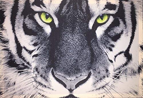 Samarkand-Lights LED-Bild mit Beleuchtung LED- Bilder Leinwandbild 65 x 45 cm Leuchtbild Tiger Tiere Wandbild
