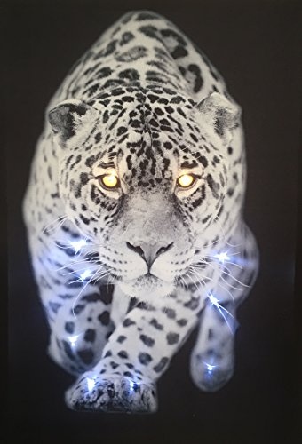 LED-Bild mit Beleuchtung LED- Bilder Leinwandbild 65 x 45 cm Leuchtbild TIGER LEOPARD TIERE Wandbild Samarkand-Lights