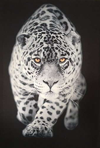 LED-Bild mit Beleuchtung LED- Bilder Leinwandbild 65 x 45 cm Leuchtbild TIGER LEOPARD TIERE Wandbild Samarkand-Lights