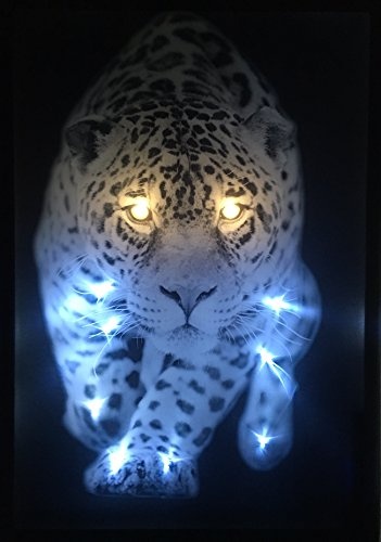 LED-Bild mit Beleuchtung LED- Bilder Leinwandbild 65 x 45 cm Leuchtbild TIGER LEOPARD TIERE Wandbild Samarkand-Lights