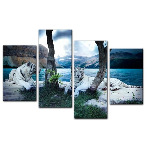 Wandbild - Tiger II - Bild auf Leinwand - 120x80 cm 4 teilig - Leinwandbilder - Bilder als Leinwanddruck - Tierwelten - Wildtiere - Grosskatzen - Zwei weiße Tiger