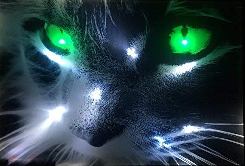 Samarkand-Lights LED-Bild mit Beleuchtung LED- Bilder Leinwandbild 65 x 45 cm Leuchtbild Katze Tiere Wandbild
