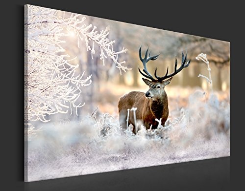 murando - Bilder Hirsch 120x80 cm Vlies Leinwandbild 1 TLG Kunstdruck modern Wandbilder XXL Wanddekoration Design Wand Bild - Natur Tier Landschaft g-C-0057-b-b