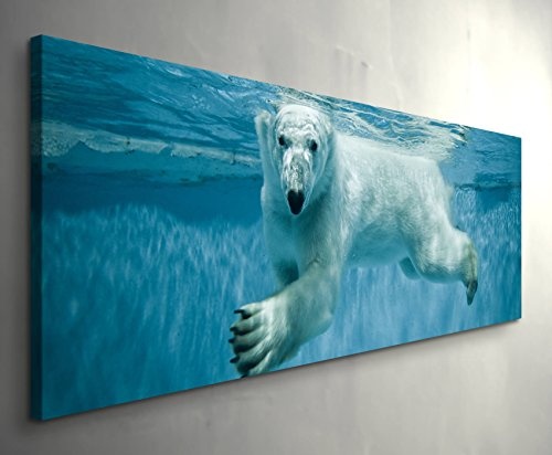 Paul Sinus Art Leinwandbilder | Bilder Leinwand 120x40cm schwimmender Eisbär Unter Wasser