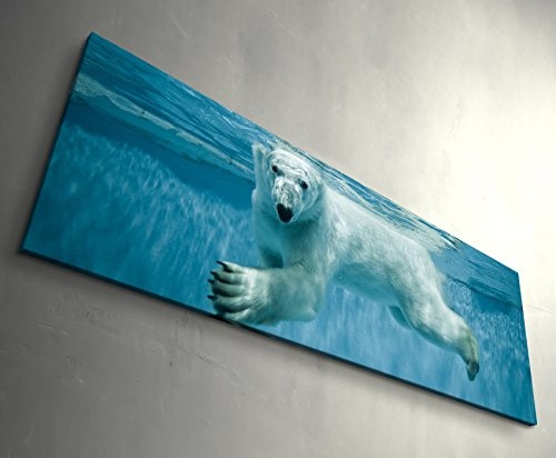 Paul Sinus Art Leinwandbilder | Bilder Leinwand 120x40cm schwimmender Eisbär Unter Wasser