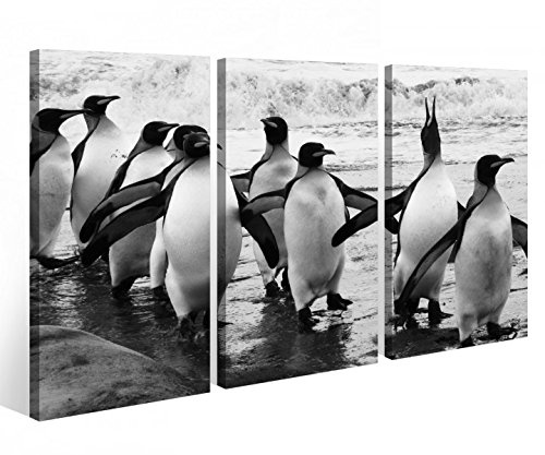Leinwandbild 3 Tlg. Pinguine Meer Pinguin Tiere Leinwand Bild Bilder auf Keilrahmen Holz - fertig gerahmt 9O897, 3 tlg BxH:90x60cm (3Stk 30x 60cm)