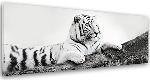 Feeby Frames, Leinwandbild, Bilder, Wand Bild, Wandbilder, Kunstdruck 40x120cm, TIGER, TIER, SCHWARZ-WEISS