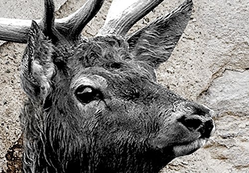 murando - Bilder Hirsch 120x80 cm Vlies Leinwandbild 1 TLG Kunstdruck modern Wandbilder XXL Wanddekoration Design Wand Bild - Tiere Abstrakt g-C-0059-b-a