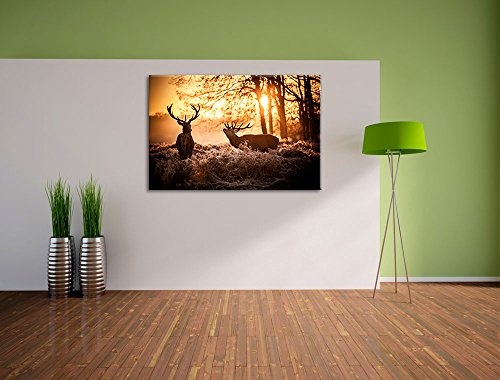 Hirsch Rivalen kämpfen Format: 120x80 auf Leinwand, XXL riesige Bilder fertig gerahmt mit Keilrahmen, Kunstdruck auf Wandbild mit Rahmen, günstiger als Gemälde oder Ölbild, kein Poster oder Plakat