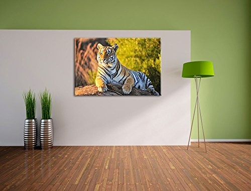 Pixxprint Stolzer Tiger Format: 120x80 auf Leinwand, XXL riesige Bilder fertig gerahmt mit Keilrahmen, Kunstdruck auf Wandbild mit Rahmen, günstiger als Gemälde oder Ölbild, kein Poster oder Plakat