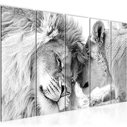 Bilder Löwen Liebe Wandbild 150 x 60 cm Vlies -...