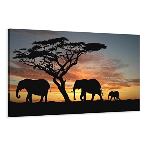 Visario Leinwandbilder 5066 Bild auf Leinwand Afrika, 120 x 80 cm