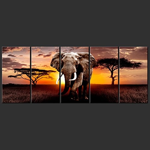 decomonkey Bilder Afrika Tiere Elefant 200x80 cm 5 TLG. Leinwandbilder XXL Bild auf Leinwand Vlies Wandbild Kunstdruck Wanddeko Wand Wohnzimmer Wanddekoration Deko Landschaft Baum braun