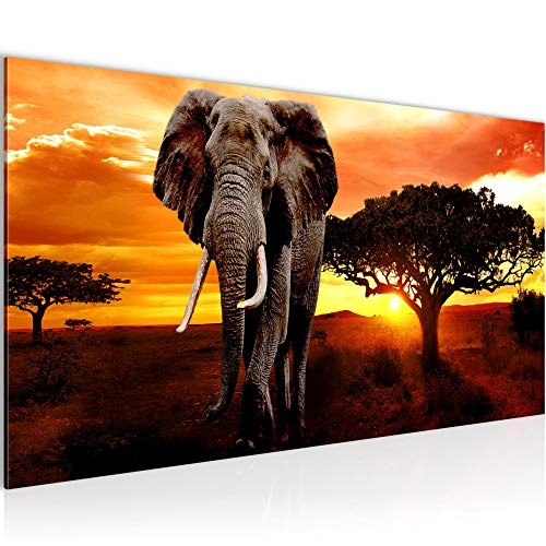 Bilder Afrika Elefant Wandbild 100 x 40 cm Vlies -...