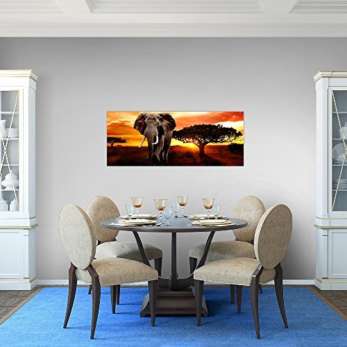 Bilder Afrika Elefant Wandbild 100 x 40 cm Vlies - Leinwand Bild XXL Format Wandbilder Wohnzimmer Wohnung Deko Kunstdrucke Orang 1 Teilig - Made IN Germany - Fertig zum Aufhängen 001212a
